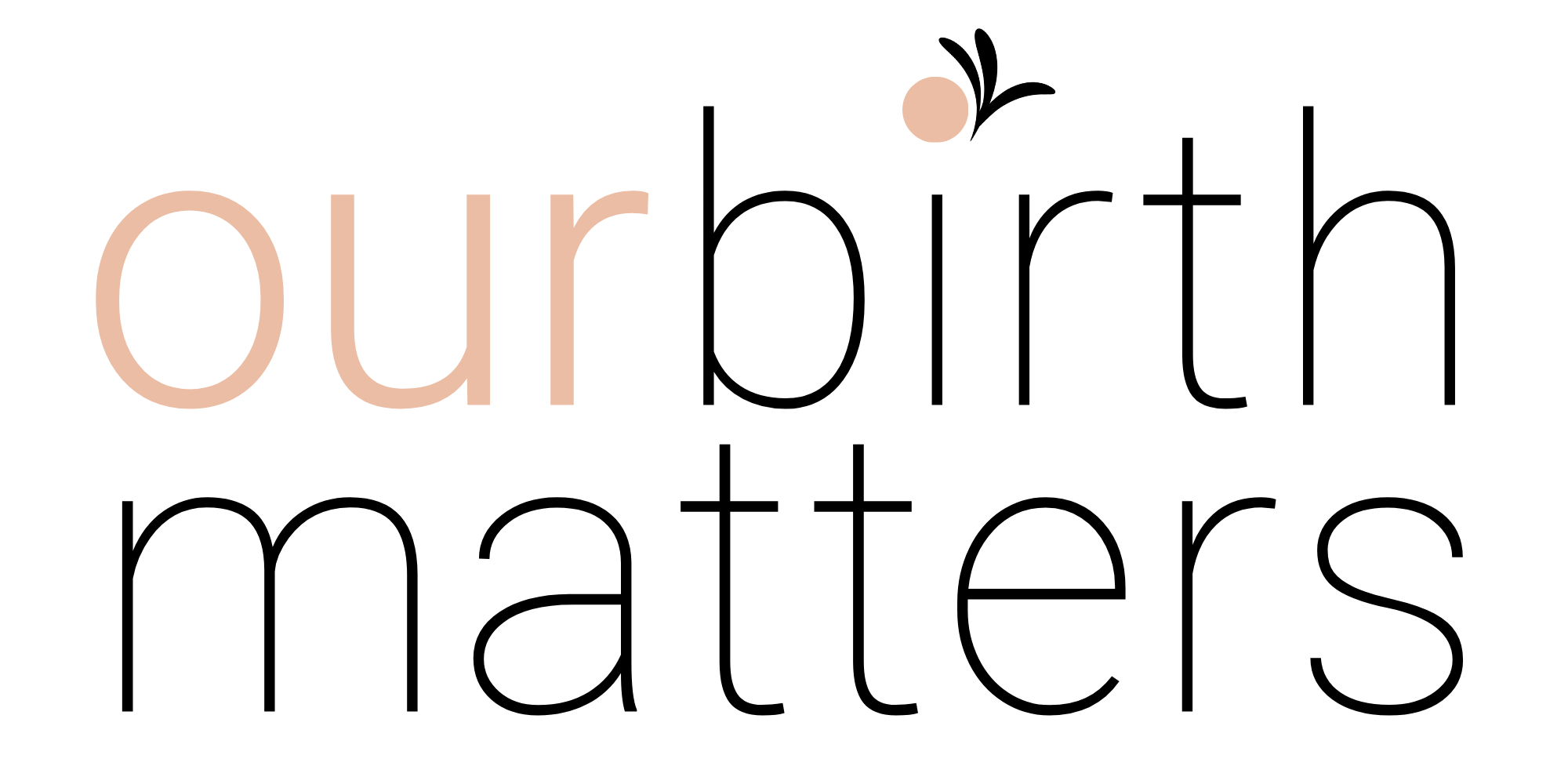 OBM logo